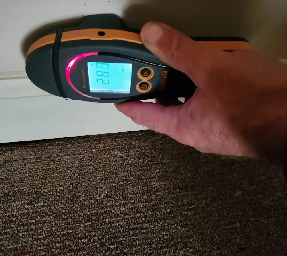 Moisture detection at baseboard during Burst Pipe Cleanup in Washington